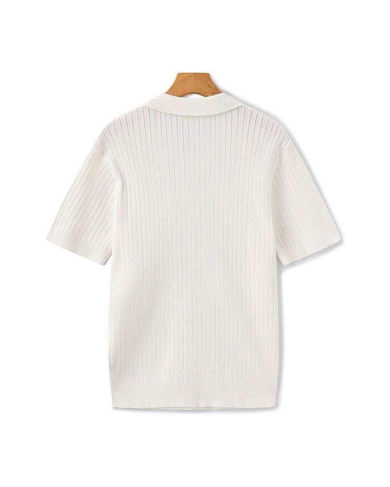 Denford Men's Ribbed Knit Polo Shirt – photo 30